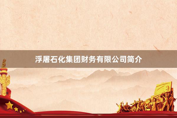 浮屠石化集团财务有限公司简介